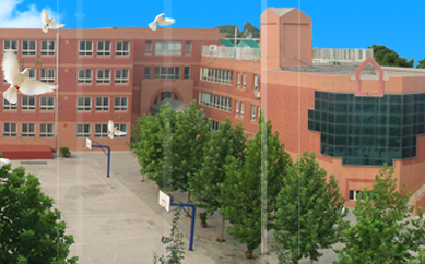 藍(lán)點(diǎn)助力石家莊中華大街小學(xué)，網(wǎng)站改版升級