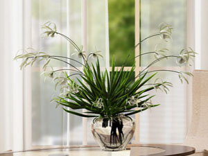 【簽約】張家口智仁商貿(mào)有限公司，網(wǎng)站系統(tǒng)開發(fā)項目