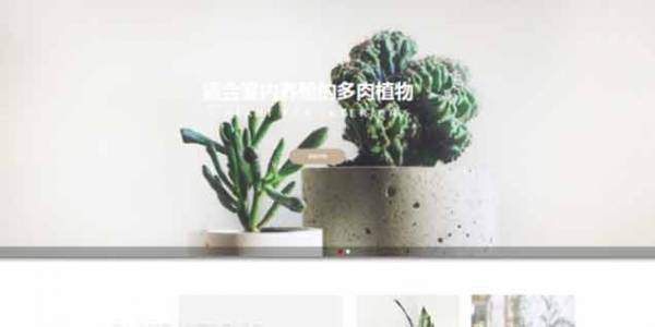 如何開發(fā)公司網(wǎng)站制作Web 前端？