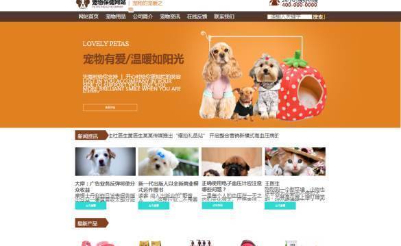 企業(yè)網(wǎng)站建設(shè)，網(wǎng)頁轉(zhuǎn)換系統(tǒng)的信息