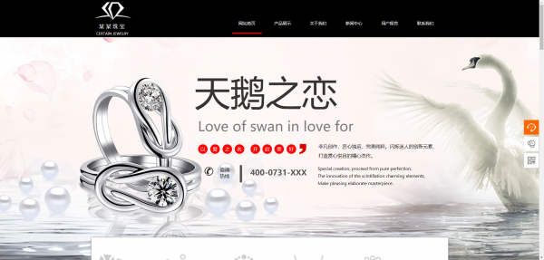 企業(yè)網(wǎng)站建設，視頻網(wǎng)站運營模式類別