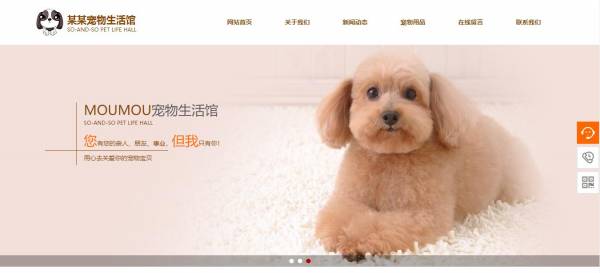 企業(yè)網(wǎng)站建設(shè)，插畫形象當(dāng)作網(wǎng)站中主體