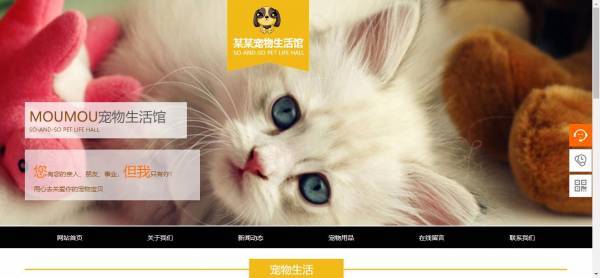 公司網(wǎng)站制作，云端訪問利用功能