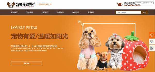 公司網(wǎng)站制作，明確建站目的和功能定位